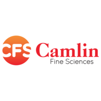 Camlin Fine Sciences 