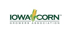 Iowa Corn