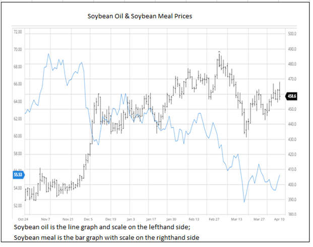 Soybean Oil &Soybean Meal Prices