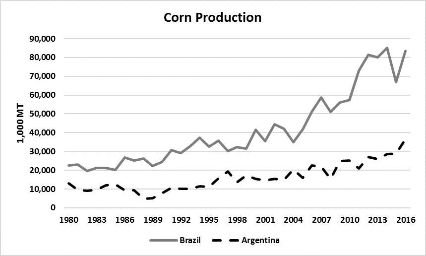 corn production