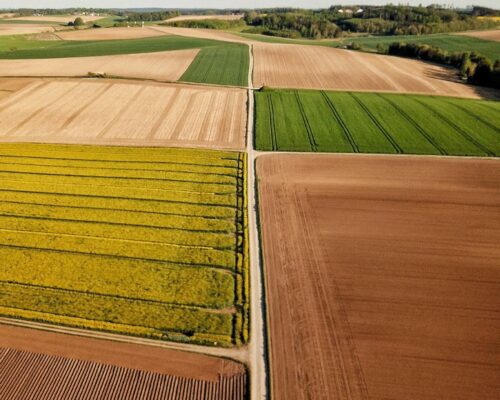 An aerial view of a rural landscape, showing various rectangular farm fields in different stages of growth. There are green, yellow, and freshly plowed fields divided by dirt roads, extending towards the horizon under a clear blue sky