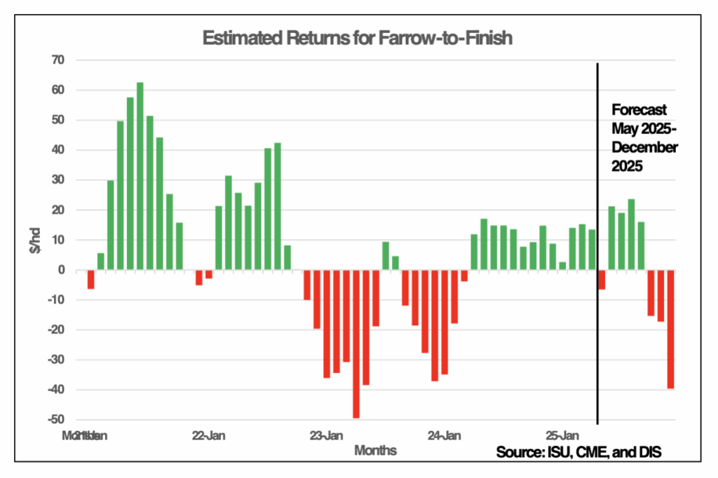Bar graph showing estimated returns for farrow-to-finish from mid-2021 to December 2025. Positive values in green and negative in red. Forecast period starts May 2025 with projected losses continuing. Source ISU CME and DIS.
