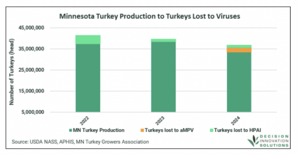 Bar chart shows Minnesota turkey production over 40 million yearly versus small losses to aMPV and HPAI viruses from 2022 to 2024.