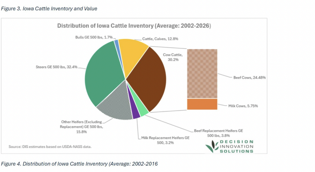Pie chart and bar graph illustrating the distribution of Iowa cattle inventory by category and percentage.